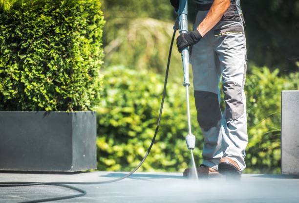 Trusted Delmar, MD Pressure Washing Experts